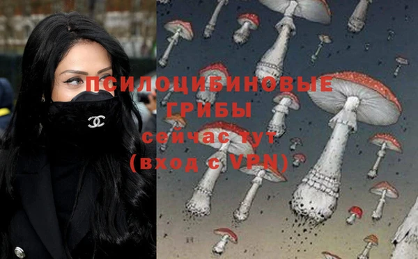 МДПВ Балахна