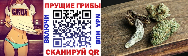 Галлюциногенные грибы мицелий  Купить где  Котельнич 